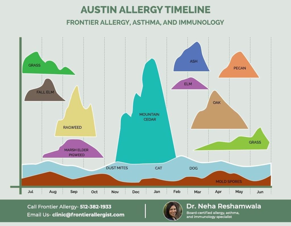 Austin Allergy Report | Dr. Neha Reshamwala