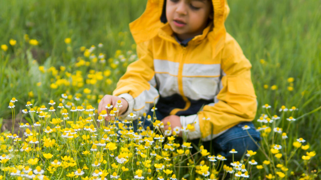 Boy Raincoat Picking Flowers Front View