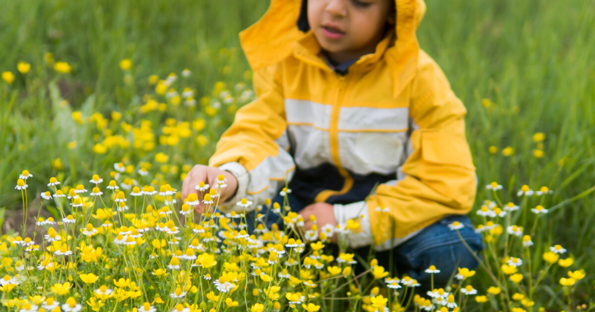 Can Grass Allergy Cause Anaphylaxis? Frontier Allergy