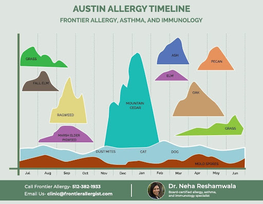 Austin Cedar Allergy